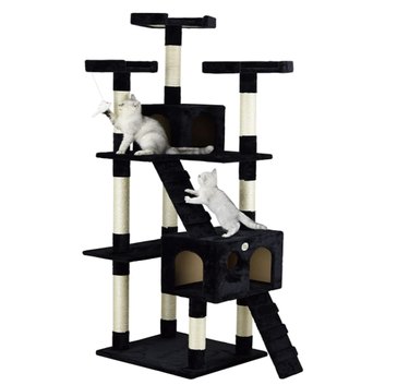 Top Cat Scratchers of 2022: Protect Your Furniture & Keep Your Cat Happy