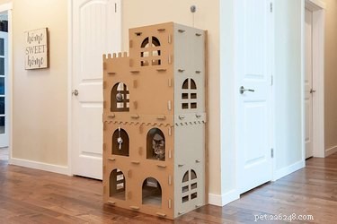 Top Cat Scratchers of 2022: Protect Your Furniture & Keep Your Cat Happy