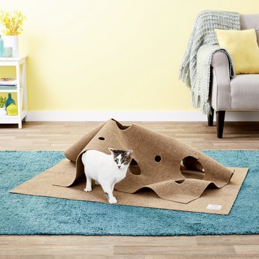 Top Cat Scratchers of 2022: Protect Your Furniture & Keep Your Cat Happy