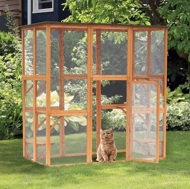 Top Outdoor Cat Enclosures: Safe, Comfortable, and Stylish