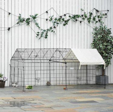 Top Outdoor Cat Enclosures: Safe, Comfortable, and Stylish