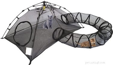 Top Outdoor Cat Enclosures: Safe, Comfortable, and Stylish