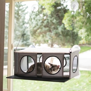 Top Cat Window Perches: Comfort & View for Your Feline Friend