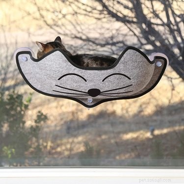 Top Cat Window Perches: Comfort & View for Your Feline Friend