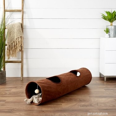 Top 2022 Picks: The Best Cat Tunnels for Play & Comfort