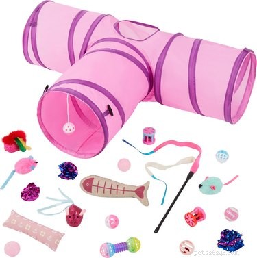Top 2022 Picks: The Best Cat Tunnels for Play & Comfort