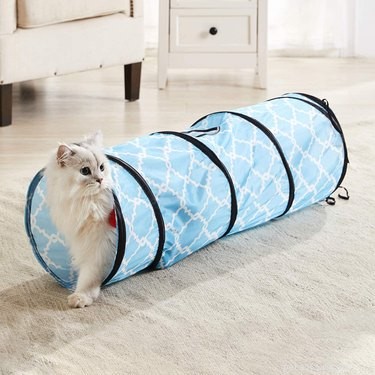 Top 2022 Picks: The Best Cat Tunnels for Play & Comfort