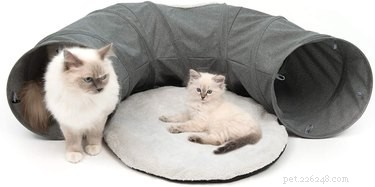 Top 2022 Picks: The Best Cat Tunnels for Play & Comfort