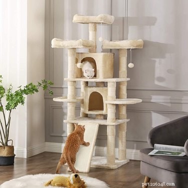Top Cat Trees of 2022: Comfort, Play, and a Personal Space for Your Feline