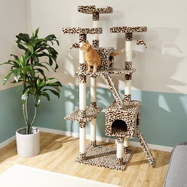Top Cat Trees of 2022: Comfort, Play, and a Personal Space for Your Feline