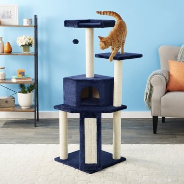 Top Cat Trees of 2022: Comfort, Play, and a Personal Space for Your Feline