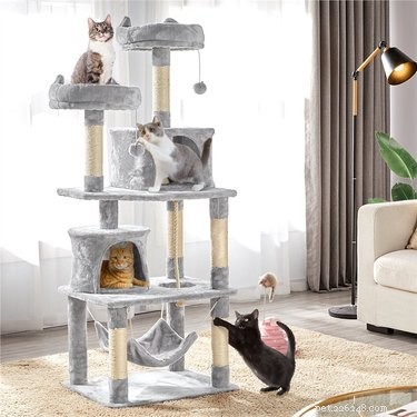 Top Cat Trees of 2022: Comfort, Play, and a Personal Space for Your Feline