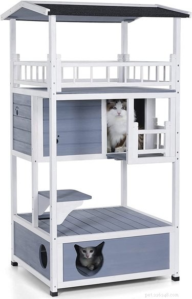 Top Cat Trees of 2022: Comfort, Play, and a Personal Space for Your Feline