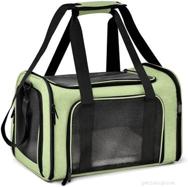 Top 2022 Cat Carriers: Comfort & Safety for Your Feline Companion