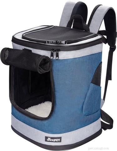 Top 2022 Cat Carriers: Comfort & Safety for Your Feline Companion