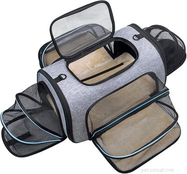 Top 2022 Cat Carriers: Comfort & Safety for Your Feline Companion