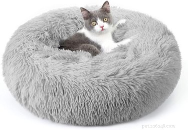 Top Cat Beds of 2022: Comfort, Style, and Durability for Your Feline Friend