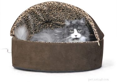 Top Cat Beds of 2022: Comfort, Style, and Durability for Your Feline Friend