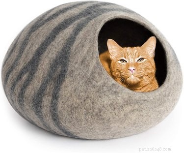 Top Cat Beds of 2022: Comfort, Style, and Durability for Your Feline Friend
