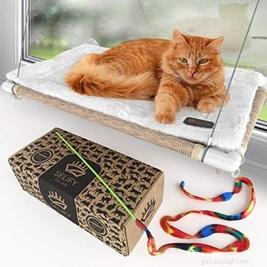 Top Cat Beds of 2022: Comfort, Style, and Durability for Your Feline Friend