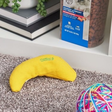 Best Cat Chew Toys: Safe, Stimulating, and Durable