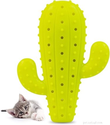 Best Cat Chew Toys: Safe, Stimulating, and Durable