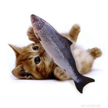 Best Cat Chew Toys: Safe, Stimulating, and Durable
