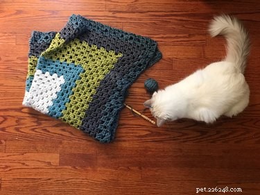 Why Cats Are Drawn to Strings: The Science Behind Their Playful Obsession
