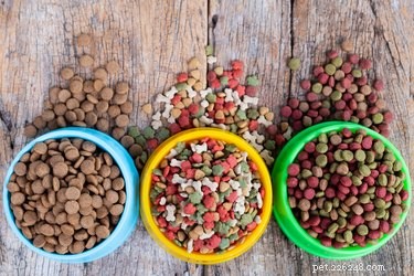 Can Humans Eat Pet Food? Expert Insights on Safety and Ingredients