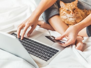 Top Amazon Cyber Monday Deals on Cat Products – Save Big Now