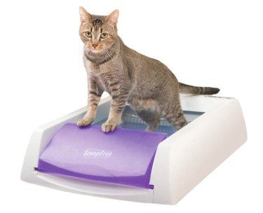 Top Amazon Cyber Monday Deals on Cat Products – Save Big Now