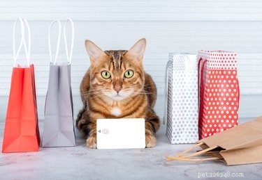 Top Amazon Black Friday Deals on Cat Products – Save Big on Litter, Toys & Gifts