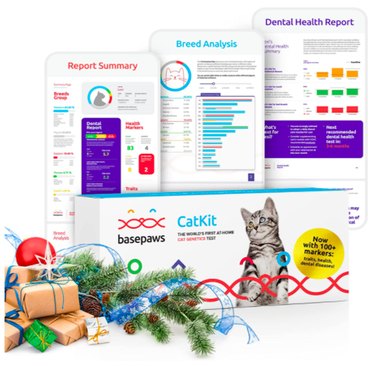Top Amazon Black Friday Deals on Cat Products – Save Big on Litter, Toys & Gifts