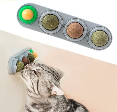 Top Amazon Black Friday Deals on Cat Products – Save Big on Litter, Toys & Gifts
