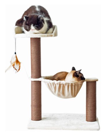 Top Amazon Black Friday Deals on Cat Products – Save Big on Litter, Toys & Gifts