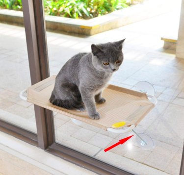 Top Amazon Black Friday Deals on Cat Products – Save Big on Litter, Toys & Gifts
