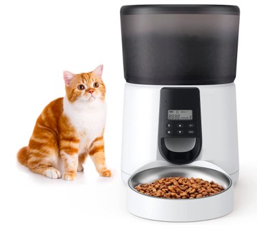 Top Amazon Black Friday Deals on Cat Products – Save Big on Litter, Toys & Gifts