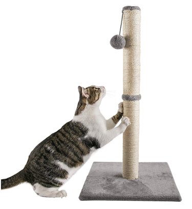 Top Amazon Black Friday Deals on Cat Products – Save Big on Litter, Toys & Gifts