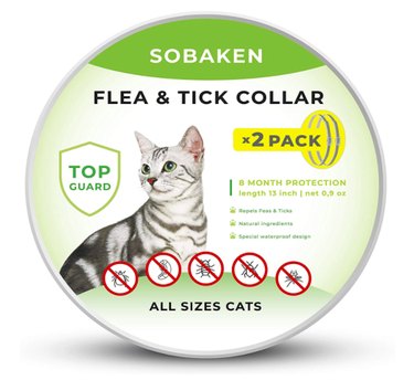 Top Amazon Black Friday Deals on Cat Products – Save Big on Litter, Toys & Gifts
