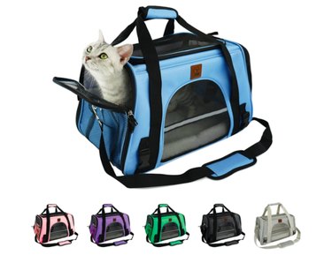 Top Amazon Black Friday Deals on Cat Products – Save Big on Litter, Toys & Gifts