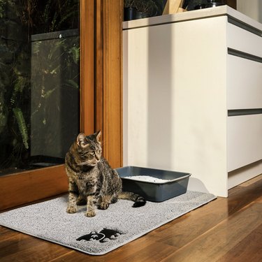 Top Cat Litter Mats of 2022: Durable, Easy‑Clean Solutions