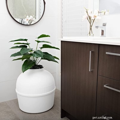 Top Cat Litter Box Enclosures: Stylish, Odor‑Control Solutions