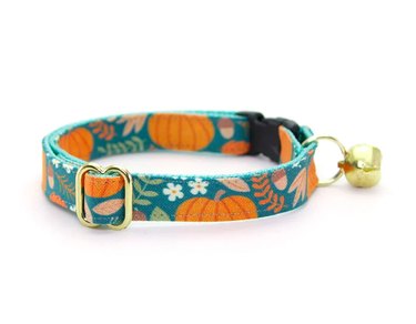 5 Essential Cat Toys & Accessories for a Purr‑Perfect Fall