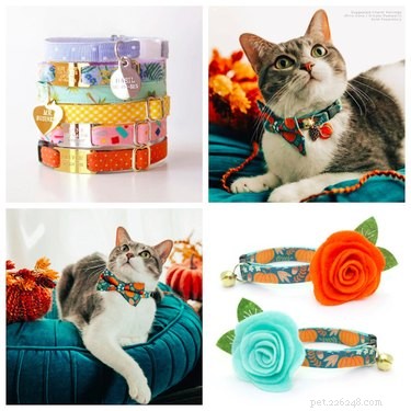 5 Essential Cat Toys & Accessories for a Purr‑Perfect Fall