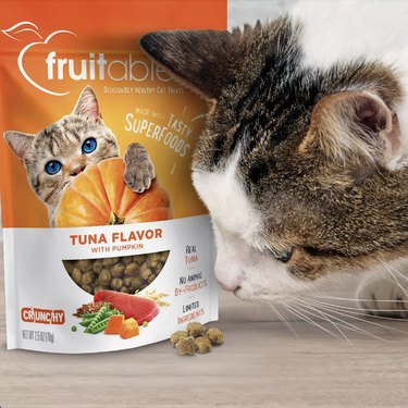 Celebrate Paw‑Tumn: 5 Pumpkin‑Flavored Cat Treats for a Healthy, Happy Feline