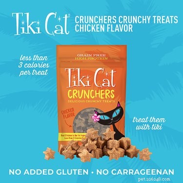 Celebrate Paw‑Tumn: 5 Pumpkin‑Flavored Cat Treats for a Healthy, Happy Feline