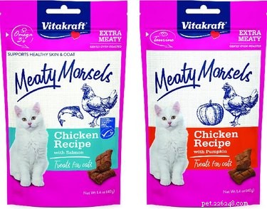 Celebrate Paw‑Tumn: 5 Pumpkin‑Flavored Cat Treats for a Healthy, Happy Feline