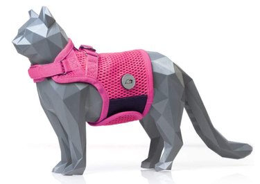 Top Cat Harnesses for Safe Outdoor Walks