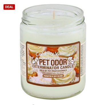 Celebrate Independence Day with the Best Fourth of July Deals on Cat Products