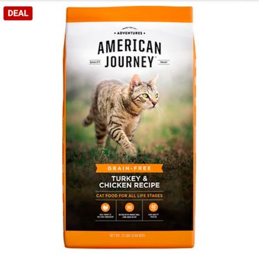 Celebrate Independence Day with the Best Fourth of July Deals on Cat Products